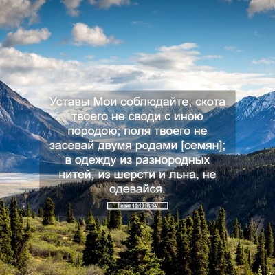 Picture 05 - Левит 19:19 RUSV - Уставы Мои соблюдайте; - Bible Verse Picture