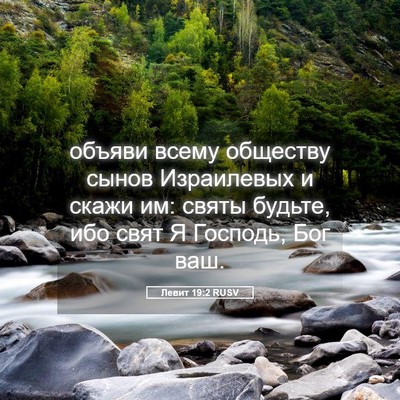 Picture 05 - Левит 19:2 RUSV - объяви всему обществу - Bible Verse Picture