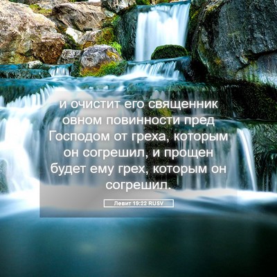 Picture 05 - Левит 19:22 RUSV - и очистит его священник - Bible Verse Picture