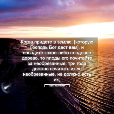 Picture 05 - Левит 19:23 RUSV - Когда придете в землю, - Bible Verse Picture