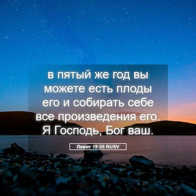 Picture 05 - Левит 19:25 RUSV - в пятый же год вы можете - Bible Verse Picture