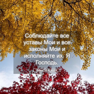 Picture 05 - Левит 19:37 RUSV - Соблюдайте все уставы Мои - Bible Verse Picture