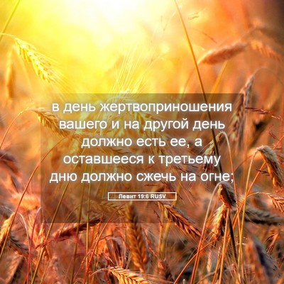 Picture 05 - Левит 19:6 RUSV - в день жертвоприношения - Bible Verse Picture