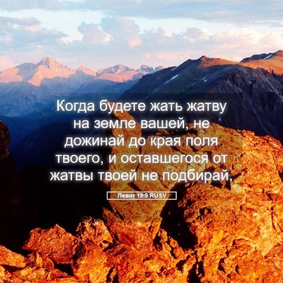 Picture 05 - Левит 19:9 RUSV - Когда будете жать жатву на - Bible Verse Picture