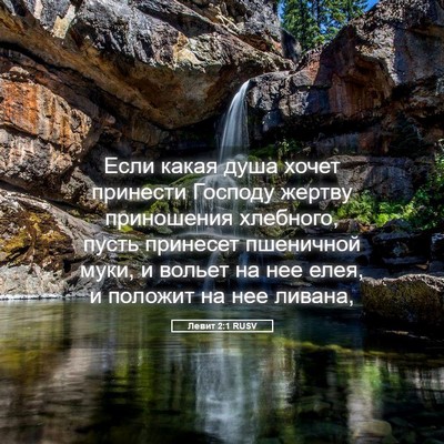 Picture 05 - Левит 2:1 RUSV - Если какая душа хочет - Bible Verse Picture