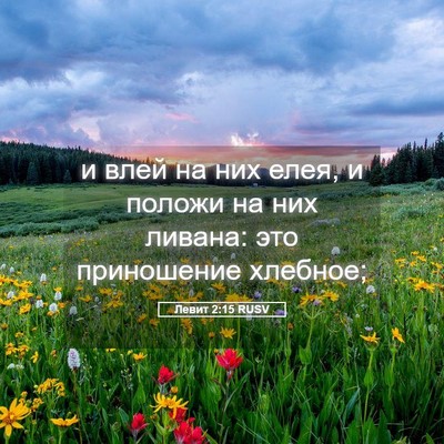 Picture 05 - Левит 2:15 RUSV - и влей на них елея, и положи - Bible Verse Picture