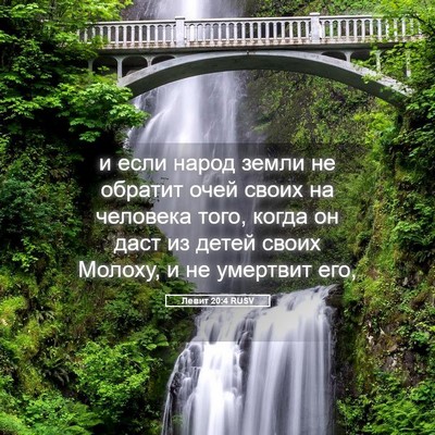 Picture 05 - Левит 20:4 RUSV - и если народ земли не - Bible Verse Picture
