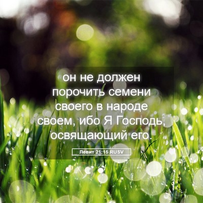 Picture 05 - Левит 21:15 RUSV - он не должен порочить - Bible Verse Picture