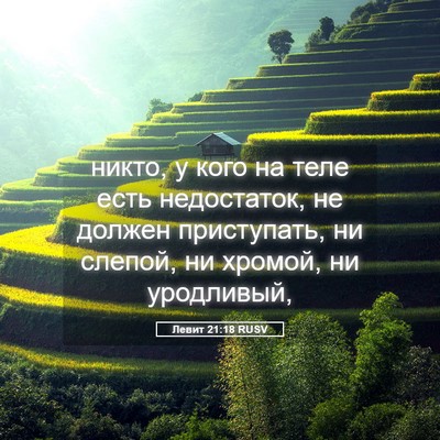 Picture 05 - Левит 21:18 RUSV - никто, у кого на теле есть - Bible Verse Picture