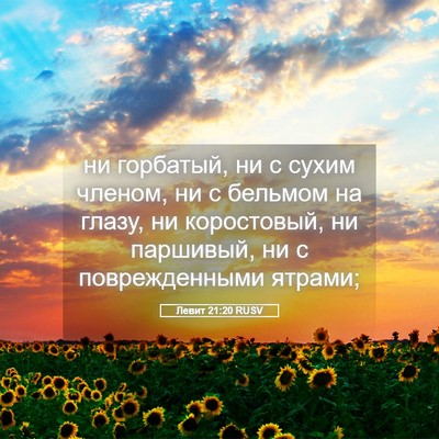 Picture 05 - Левит 21:20 RUSV - ни горбатый, ни с сухим - Bible Verse Picture