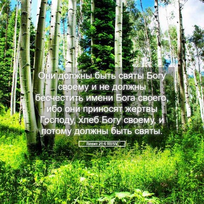 Picture 05 - Левит 21:6 RUSV - Они должны быть святы Богу - Bible Verse Picture
