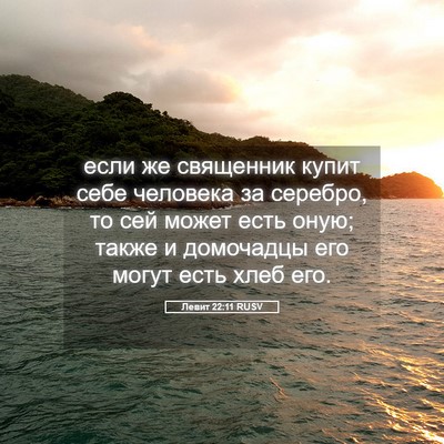 Picture 05 - Левит 22:11 RUSV - если же священник купит - Bible Verse Picture