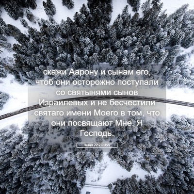 Picture 05 - Левит 22:2 RUSV - скажи Аарону и сынам его, - Bible Verse Picture