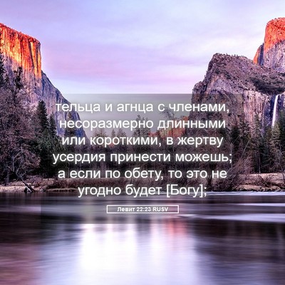 Picture 05 - Левит 22:23 RUSV - тельца и агнца с членами, - Bible Verse Picture