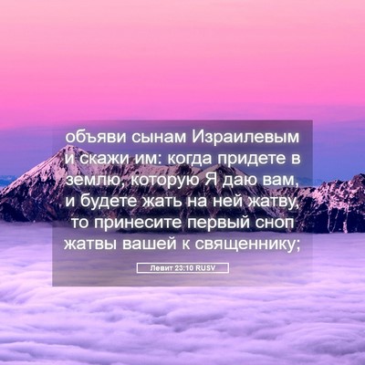 Picture 05 - Левит 23:10 RUSV - объяви сынам Израилевым и - Bible Verse Picture