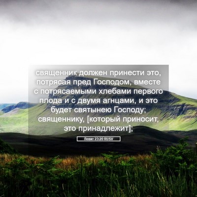 Picture 05 - Левит 23:20 RUSV - священник должен принести - Bible Verse Picture
