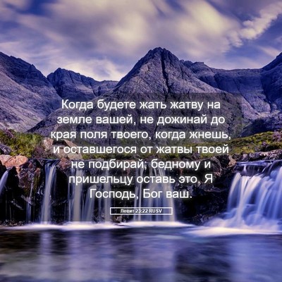 Picture 05 - Левит 23:22 RUSV - Когда будете жать жатву на - Bible Verse Picture