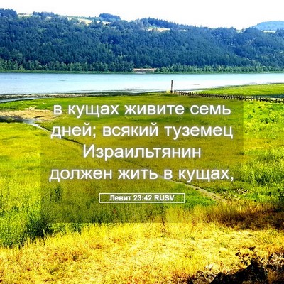 Picture 05 - Левит 23:42 RUSV - в кущах живите семь дней; - Bible Verse Picture