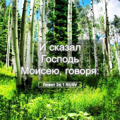 Picture 05 - Левит 24:1 RUSV - И сказал Господь Моисею, - Bible Verse Picture