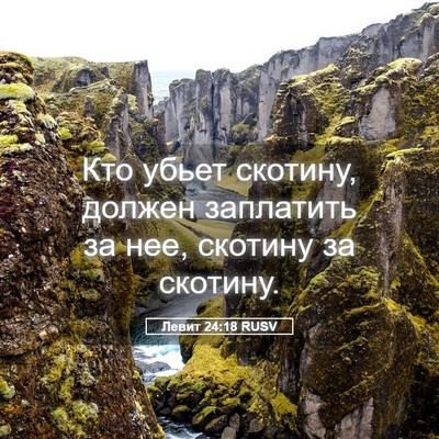 Picture 05 - Левит 24:18 RUSV - Кто убьет скотину, должен - Bible Verse Picture
