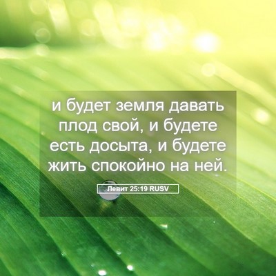 Picture 05 - Левит 25:19 RUSV - и будет земля давать плод - Bible Verse Picture