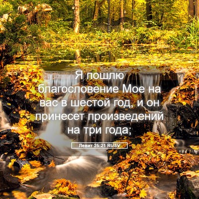 Picture 05 - Левит 25:21 RUSV - Я пошлю благословение Мое - Bible Verse Picture