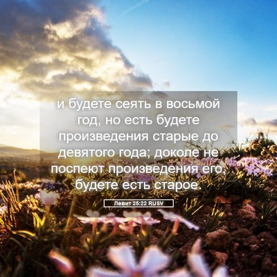 Picture 05 - Левит 25:22 RUSV - и будете сеять в восьмой - Bible Verse Picture