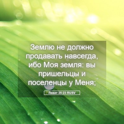Picture 05 - Левит 25:23 RUSV - Землю не должно продавать - Bible Verse Picture