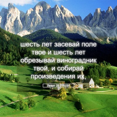 Picture 05 - Левит 25:3 RUSV - шесть лет засевай поле - Bible Verse Picture