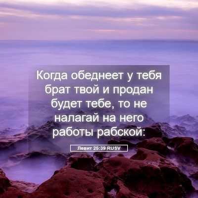 Picture 05 - Левит 25:39 RUSV - Когда обеднеет у тебя брат - Bible Verse Picture