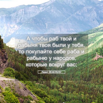 Picture 05 - Левит 25:44 RUSV - А чтобы раб твой и рабыня - Bible Verse Picture