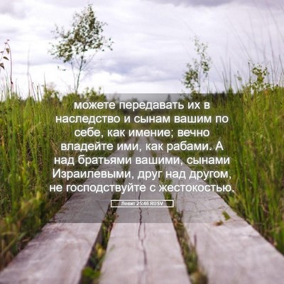 Picture 05 - Левит 25:46 RUSV - можете передавать их в - Bible Verse Picture