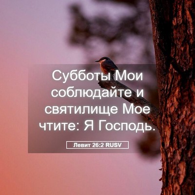 Picture 05 - Левит 26:2 RUSV - Субботы Мои соблюдайте и - Bible Verse Picture