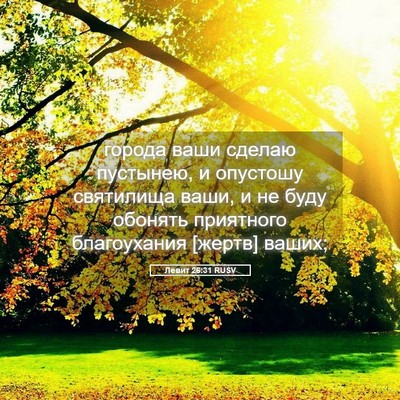 Picture 05 - Левит 26:31 RUSV - города ваши сделаю - Bible Verse Picture