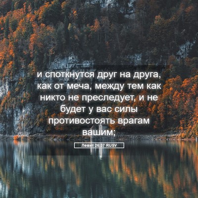 Picture 05 - Левит 26:37 RUSV - и споткнутся друг на друга, - Bible Verse Picture