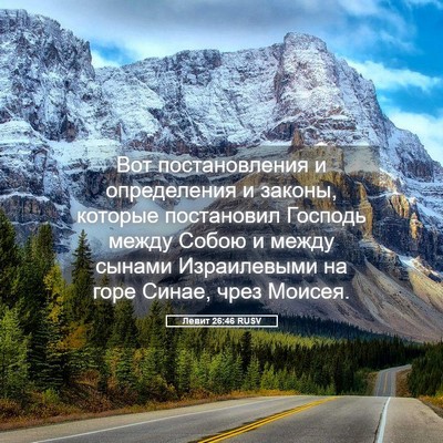 Picture 05 - Левит 26:46 RUSV - Вот постановления и - Bible Verse Picture