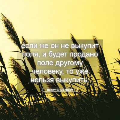 Picture 05 - Левит 27:20 RUSV - если же он не выкупит поля, - Bible Verse Picture