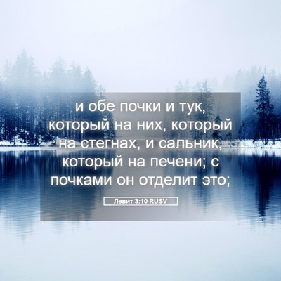 Picture 05 - Левит 3:10 RUSV - и обе почки и тук, который - Bible Verse Picture