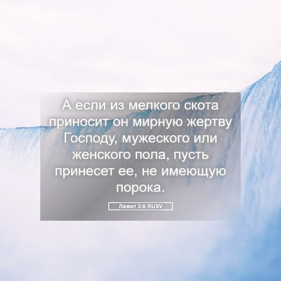 Picture 05 - Левит 3:6 RUSV - А если из мелкого скота - Bible Verse Picture