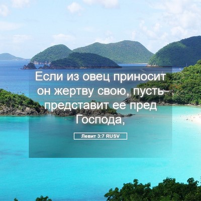 Picture 05 - Левит 3:7 RUSV - Если из овец приносит он - Bible Verse Picture