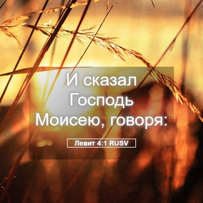 Picture 05 - Левит 4:1 RUSV - И сказал Господь Моисею, - Bible Verse Picture