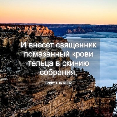 Picture 05 - Левит 4:16 RUSV - И внесет священник - Bible Verse Picture