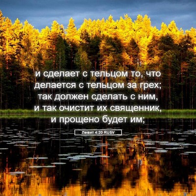 Picture 05 - Левит 4:20 RUSV - и сделает с тельцом то, что - Bible Verse Picture