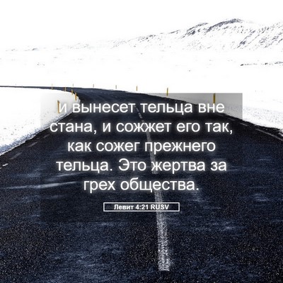 Picture 05 - Левит 4:21 RUSV - и вынесет тельца вне стана, - Bible Verse Picture