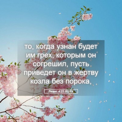 Picture 05 - Левит 4:23 RUSV - то, когда узнан будет им - Bible Verse Picture