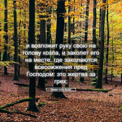 Picture 05 - Левит 4:24 RUSV - и возложит руку свою на - Bible Verse Picture