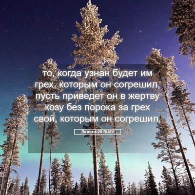 Picture 05 - Левит 4:28 RUSV - то, когда узнан будет им - Bible Verse Picture