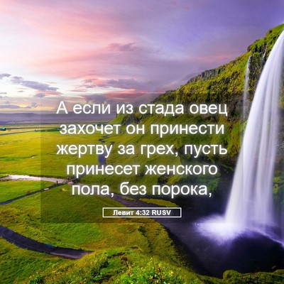 Picture 05 - Левит 4:32 RUSV - А если из стада овец - Bible Verse Picture