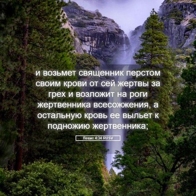 Picture 05 - Левит 4:34 RUSV - и возьмет священник - Bible Verse Picture