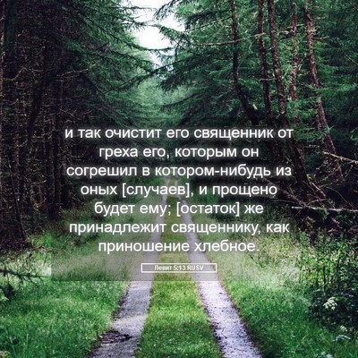 Picture 05 - Левит 5:13 RUSV - и так очистит его - Bible Verse Picture